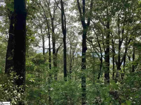 Landrum Residential Lot For Sale