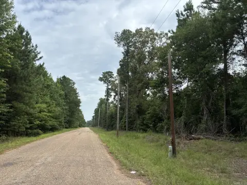 Timbered Hunting Land with Road Frontage