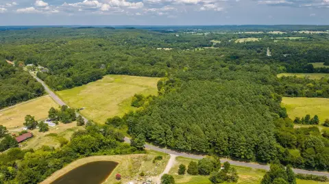 Farmland Tract with Creek