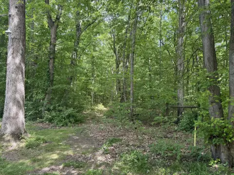 Michigan City Wooded Lot