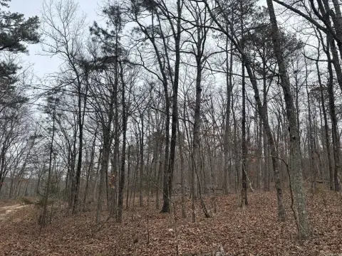 Clinton, AR Hunting Land