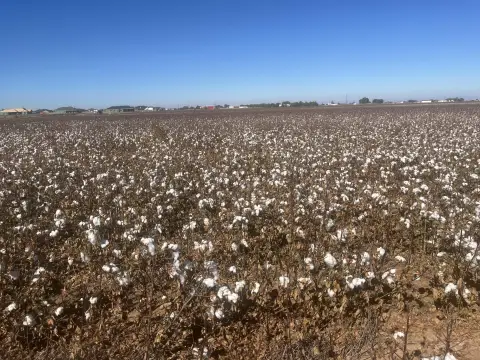 Lubbock Land Development Opportunity