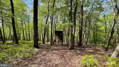 Off-Grid Hunting Land with Cabin