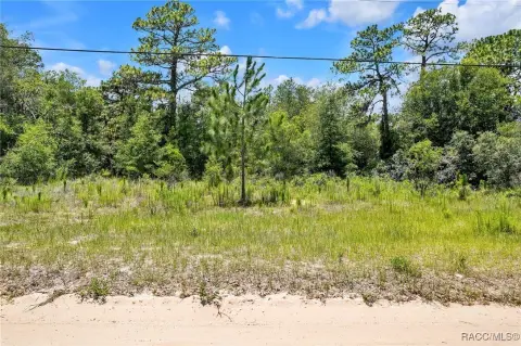 Lecanto Homesite on Three Acres