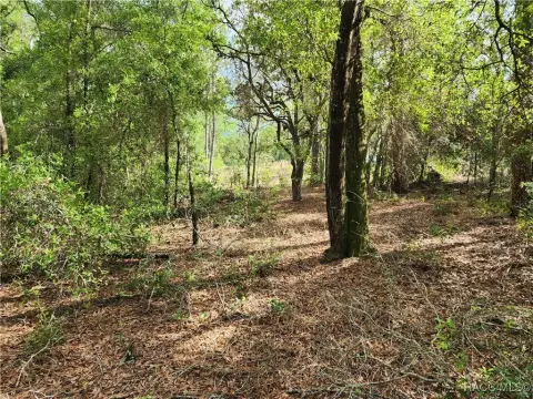 Corner Lot in Growing Community