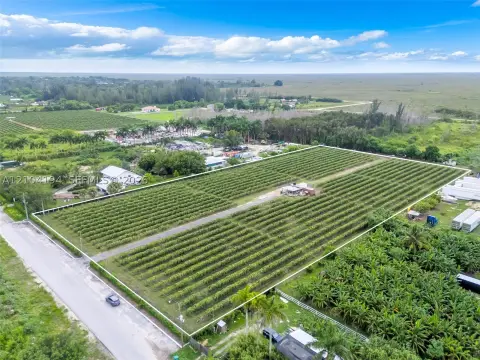 Pitaya Farm with Irrigation