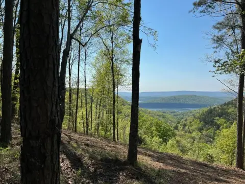 Mountain-Top Bluff Lot with Views