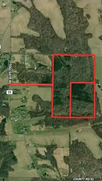 Hunting and Timber Land
