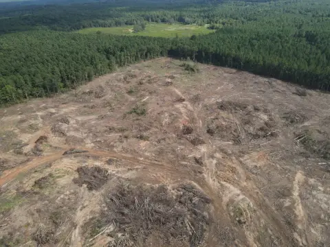 Hunting Land with Cabin