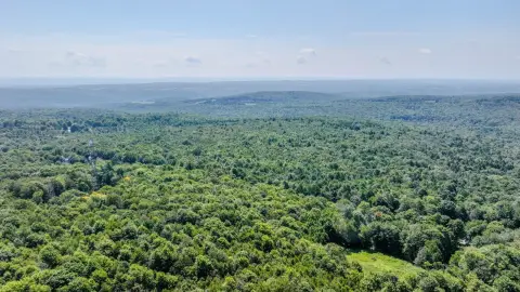 Undivided Hunting Land Interest