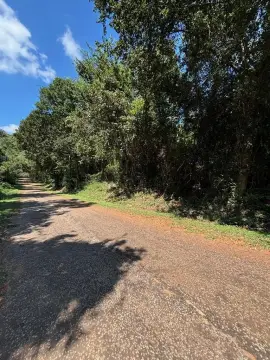 City Lot in Palestine, TX