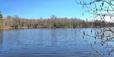Oxbow Lake Waterfront Land Parcel