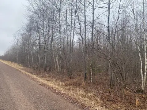 60 Acres of Land, Ogema