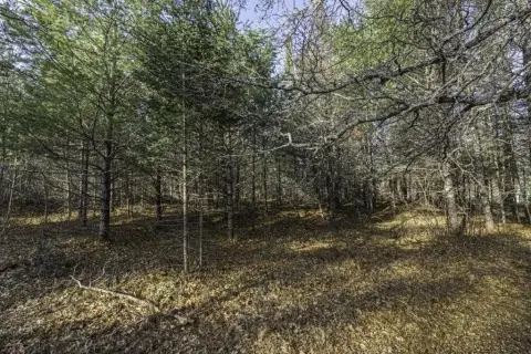 Boulder Junction Waterfront Land Parcel