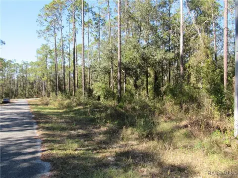 Rainbow Lakes Estates Land