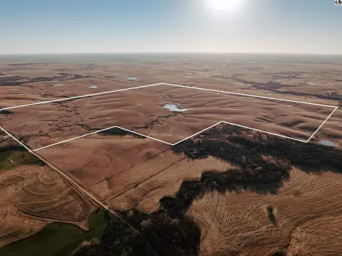 Kansas Native Grass Pasture
