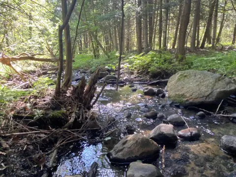 Recreational Hunting Land Tract