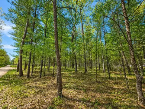 Wooded Residential Land Parcel