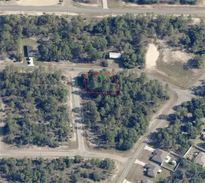 Wooded Lot in Citrus Springs