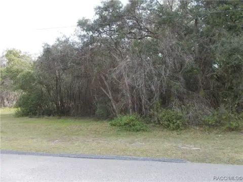Wooded Lot in Golf Community