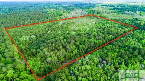 Hardeeville Acreage Near Jasper Port