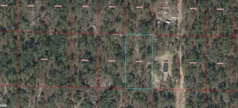 Vacant Land in Morriston, Florida