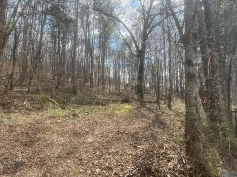 Residential Land in Cleveland, TN