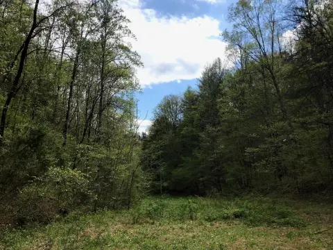 Tellico Plains Land For Sale