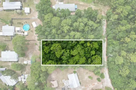 Homosassa Land For Sale