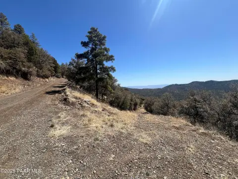 6 Acres in Prescott National Forest