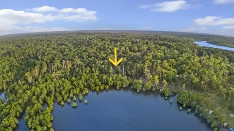 Waterfront Land with Timber
