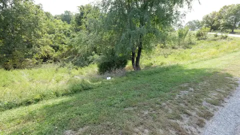 Residential Land in Branson, MO