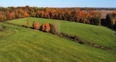 Residential Land Parcel with Woods