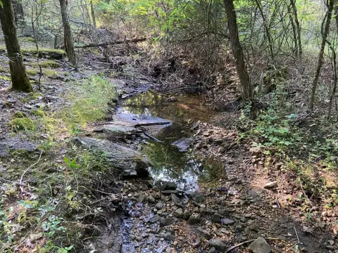 Ozark Hunting Land for Sale