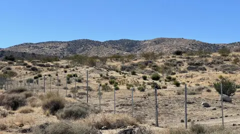 Palmdale Land for Agriculture/Home