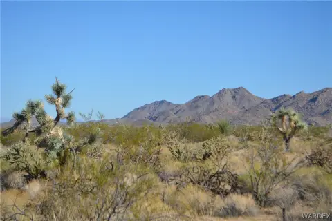 Land Parcel in Yucca, Arizona