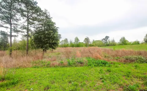 Winona, TX Residential Land