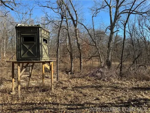 82 Acres with Updated Cabin