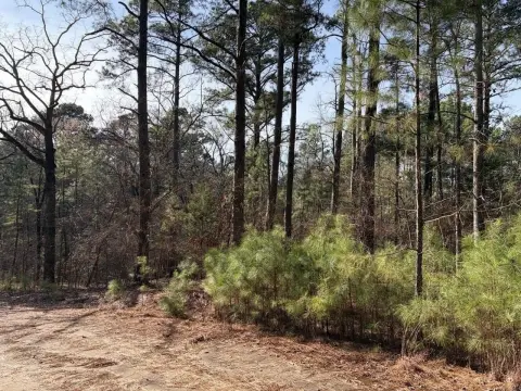 Residential Lot Near Lake Palestine