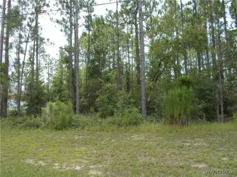 Citrus Springs Building Lot