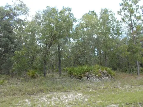 Citrus Springs Building Lot