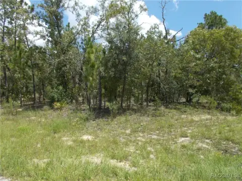 Citrus Springs Building Lot