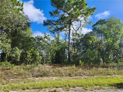 Residential Lot in Citrus Springs