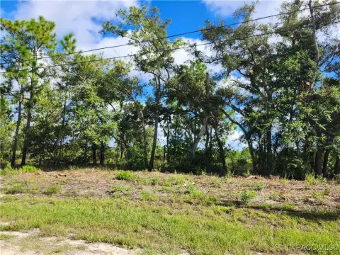 Residential Lot in Citrus Springs