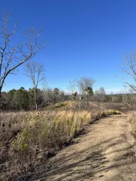 30 Acres in Hot Springs