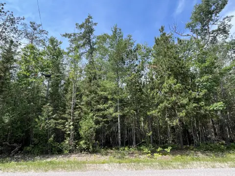 Adjoining Residential Lots with Road Access