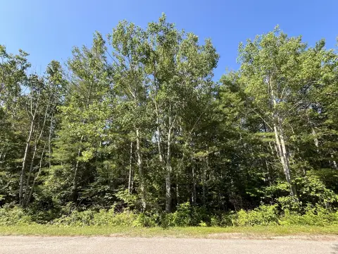 Wooded Residential Lot in R-2