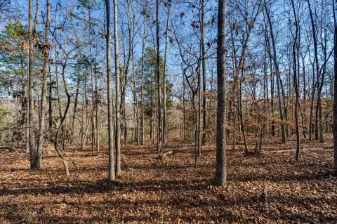 Ooltewah Land with Wooded Acres