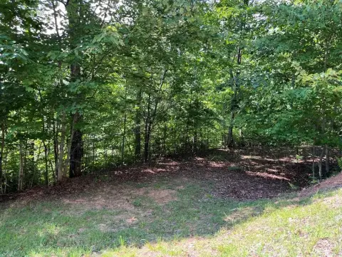 Hayesville, NC Vacant Wooded Lot