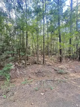 Recreation Land Near Lake